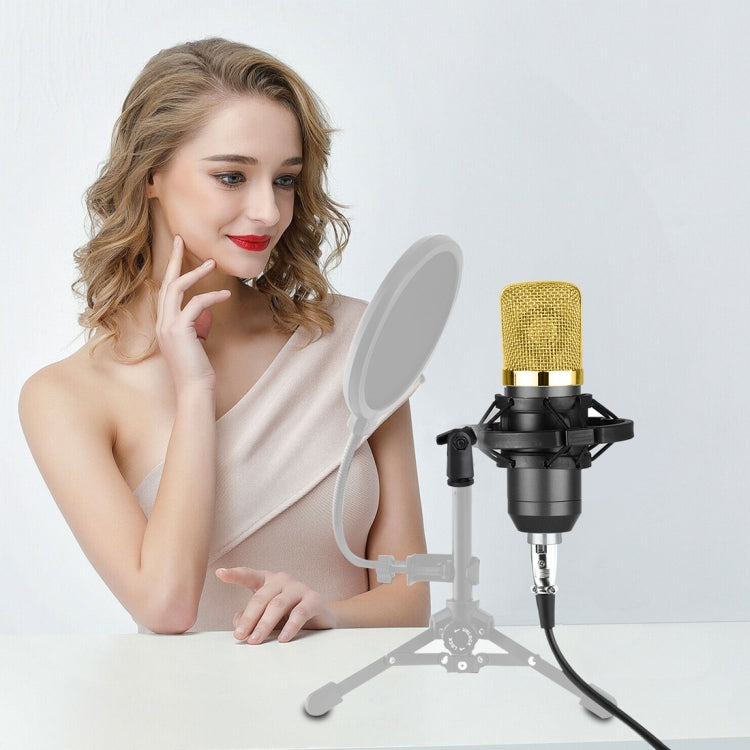 BM-700 USB Professionelles Kondensatormikrofon