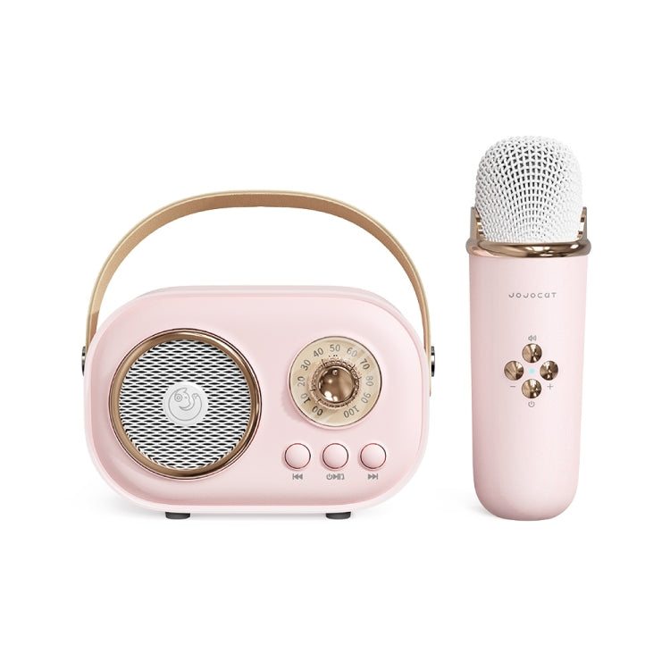 C20 Plus Multifunktionaler Karaoke Bluetooth Lautsprecher mit Mikrofon