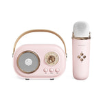 C20 Plus Multifunktionaler Karaoke Bluetooth Lautsprecher mit Mikrofon