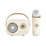 C20 Plus Multifunktionaler Karaoke Bluetooth Lautsprecher mit Mikrofon
