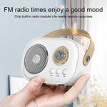 C20 Plus Multifunktionaler Karaoke Bluetooth Lautsprecher mit Mikrofon
