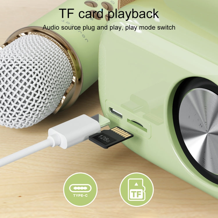 C20 Plus Multifunktionaler Karaoke Bluetooth Lautsprecher mit Mikrofon