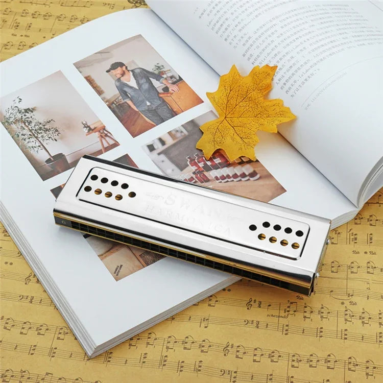 Swan SW24-12A 24-Loch Doppelseitige Mundharmonika Anfänger Polyphonie Box Erwachsene Kinder Anfänger Performance, SW24-12A 24-Loch Polyphone Mundharmonika