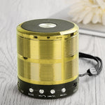 WS-887 Bluetooth-Lautsprecher mit Trageband, unterstützt Freisprechanrufe & FM & U-Disk & TF-Karte & AUX