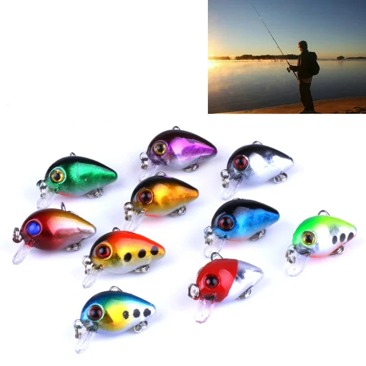 HENGJIA 10 Stück 3 cm/1,5 g Luya Rock Fishing Köder Bionic Kit mit Kunststoffbox, Box014