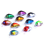 HENGJIA 10 PCS 3cm/1.5g Luya Rock Fishing Lures Bait Bionic Kit with Plastic Box, Box014