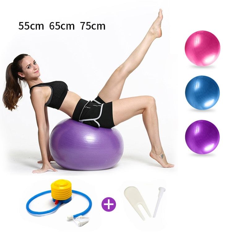 Verdickter explosionsgeschützter großer Yoga-Ball Sport Fitness Ball Umweltfreundlicher Schwangerschafts-Yoga-Ball, Durchmesser: 65cm, 65cm (Pink), 65cm (Blau), 65cm (Lila)