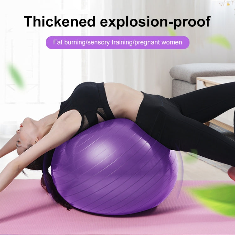 Verdickter explosionsgeschützter großer Yoga-Ball Sport Fitness Ball Umweltfreundlicher Schwangerschafts-Yoga-Ball, Durchmesser: 65cm, 65cm (Pink), 65cm (Blau), 65cm (Lila)
