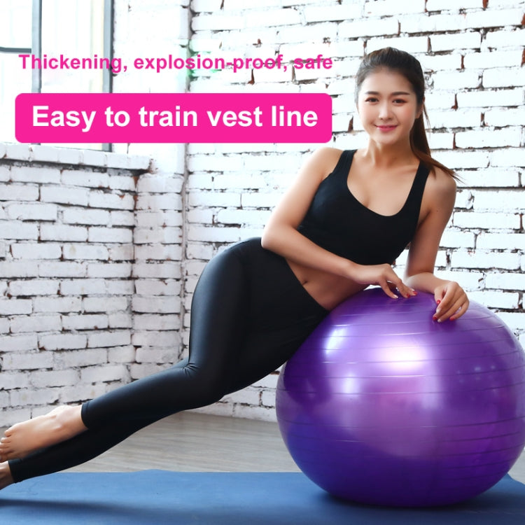 Verdickter explosionsgeschützter großer Yoga-Ball Sport Fitness Ball Umweltfreundlicher Schwangerschafts-Yoga-Ball, Durchmesser: 65cm, 65cm (Pink), 65cm (Blau), 65cm (Lila)