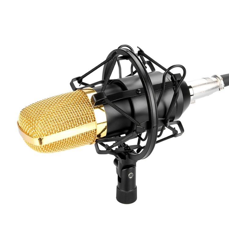FIFINE F-700 Professionelles Kondensatormikrofon mit Schockhalter für Studio, Radioübertragung & Live-Übertragung, 3,5 mm Kopfhöreranschluss, Kabellänge: 2,5 m