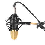 FIFINE F-700 Professionelles Kondensatormikrofon mit Schockhalter für Studio, Radioübertragung & Live-Übertragung, 3,5 mm Kopfhöreranschluss, Kabellänge: 2,5 m