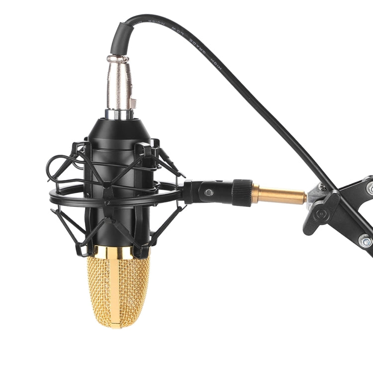 FIFINE F-700 Professionelles Kondensatormikrofon mit Schockhalter für Studio, Radioübertragung & Live-Übertragung, 3,5 mm Kopfhöreranschluss, Kabellänge: 2,5 m