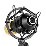 FIFINE F-700 Professionelles Kondensatormikrofon mit Schockhalter für Studio, Radioübertragung & Live-Übertragung, 3,5 mm Kopfhöreranschluss, Kabellänge: 2,5 m