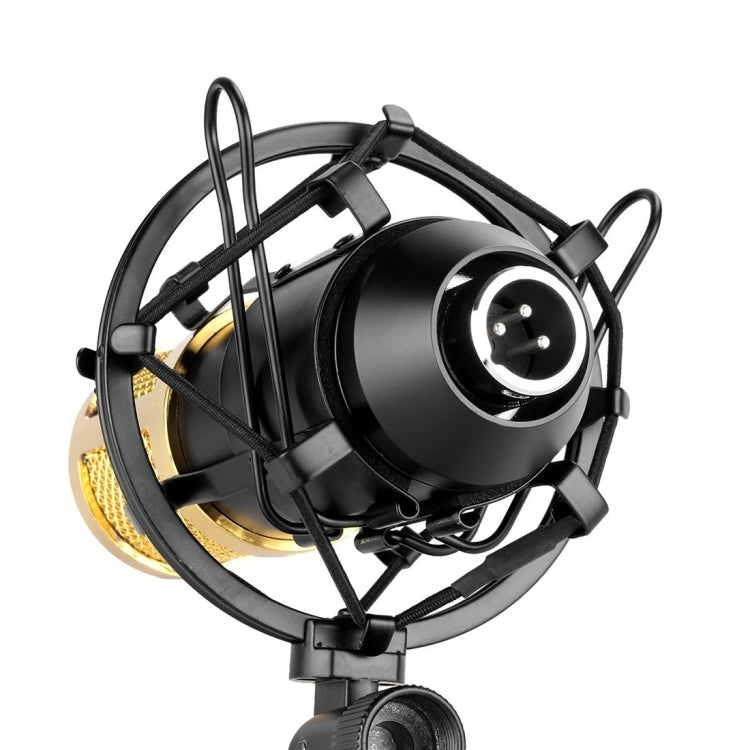 FIFINE F-700 Professionelles Kondensatormikrofon mit Schockhalter für Studio, Radioübertragung & Live-Übertragung, 3,5 mm Kopfhöreranschluss, Kabellänge: 2,5 m