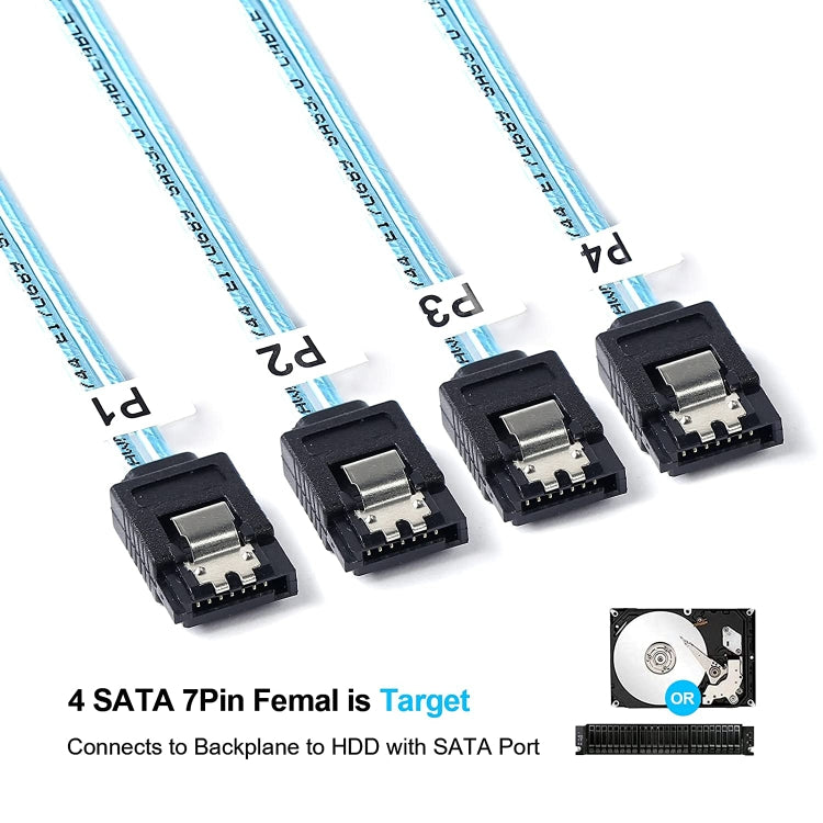 Mini SAS (SFF-8087) zu 4 x SATA 7-polige Buchse Forward Breakout 6Gbps Datenkabel, Länge: 50cm, SFF-8087 (Länge: 50cm)