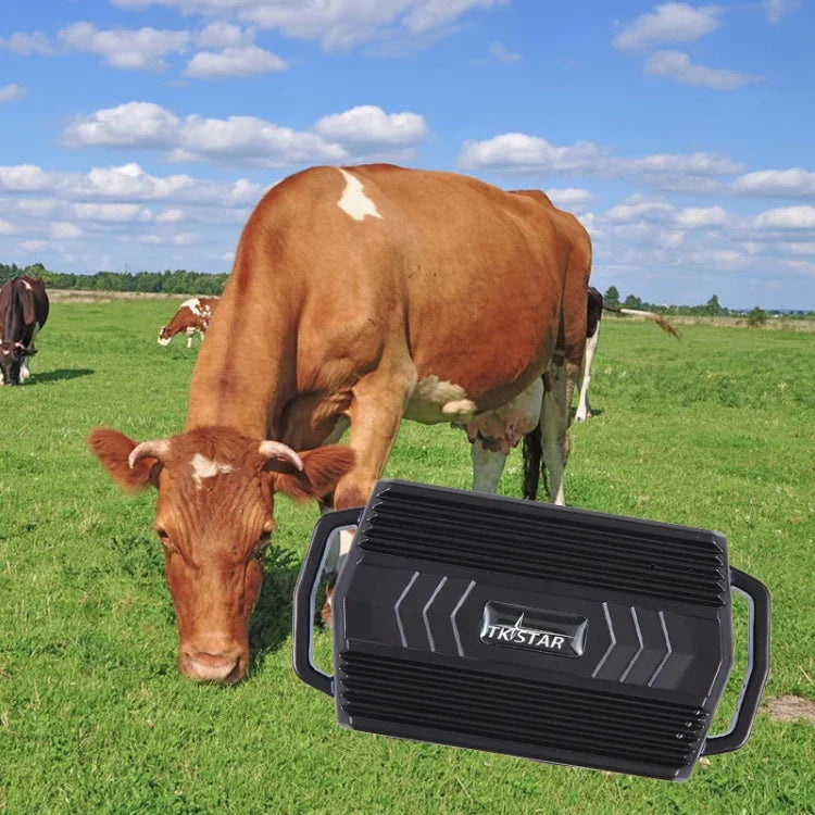 TKSTAR TK935 3000mAh GPS Haustier- und Nutztier-Auto-Tracker, wasserdicht, TK935