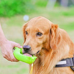 Haustier-Outdoor-Begleitbecher für Hunde – Hunde-Ausgehbecher – Haustierbedarf
