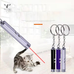 LED-Laserstift mit roter Spitze, lustige Katze