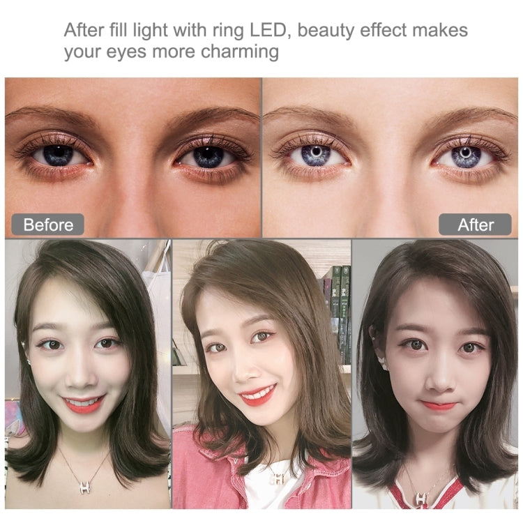 PULUZ 6,2 Zoll 16cm USB 10 Modi 8 Farben RGBW dimmbarer LED-Ring Vlogging Fotografie Video Licht mit Stativ Kugelkopf, 6,2 Zoll RGBW