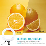 PULUZ 6,2 Zoll 16cm USB 10 Modi 8 Farben RGBW dimmbarer LED-Ring Vlogging Fotografie Video Licht mit Stativ Kugelkopf, 6,2 Zoll RGBW