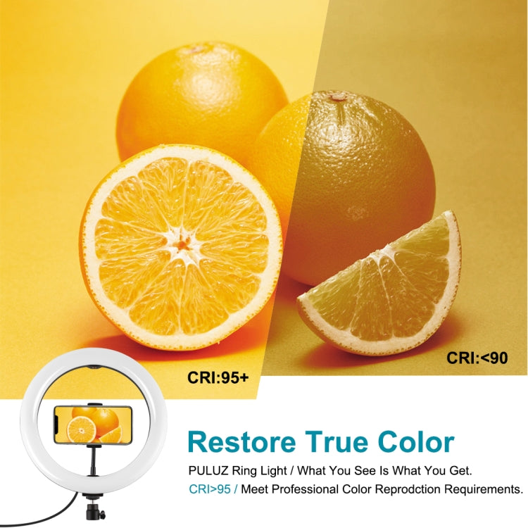PULUZ 10,2 Zoll 26cm USB 10 Modi 8 Farben RGBW dimmbarer LED-Ring Vlogging Fotografie Video Licht mit Kaltlicht-Schuh Stativ Kugelkopf & Telefonhalterung, 10,2 Zoll RGBW