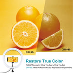 PULUZ 11,8 Zoll 30cm USB 3 Modi dimmbarer Dual Farbtemperatur LED gewölbter Diffusor Licht Ring Vlogging Selfie Fotografie Video Licht mit Telefonhalterung, 11,8 Zoll