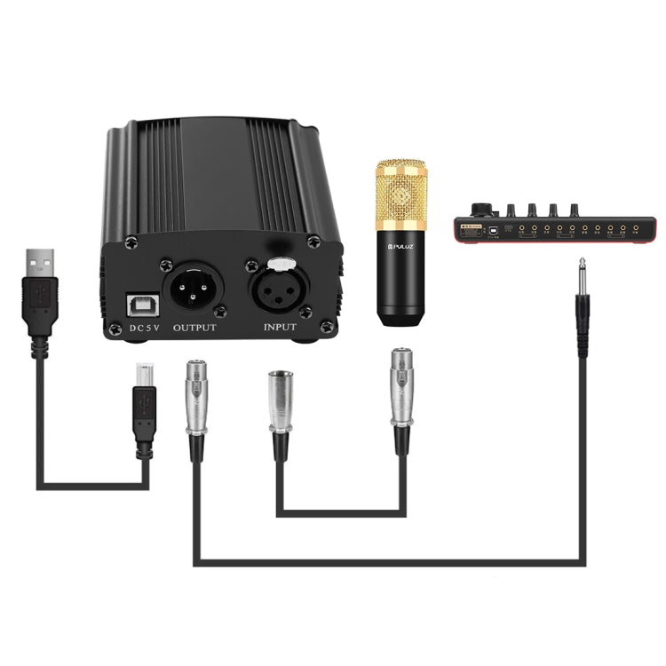 PULUZ Kondensatormikrofon Studio Broadcast Professionelles Gesangsmikrofon-Set mit Scherenarm, Metall-Schockhalterung & USB-Soundkarte, 48V Stromversorgung, 48V Mikrofon-Set (Gold)