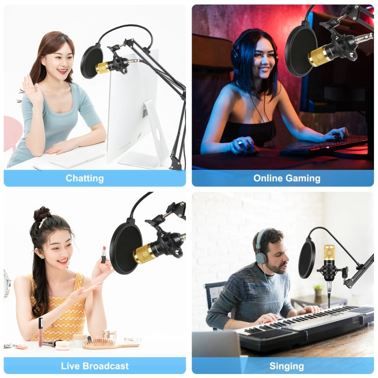 PULUZ Kondensatormikrofon Studio Broadcast Professionelles Gesangsmikrofon-Set mit Scherenarm, Metall-Schockhalterung & USB-Soundkarte, 48V Stromversorgung, 48V Mikrofon-Set (Gold)