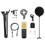 PULUZ Kondensatormikrofon Studio Broadcast Professionelles Gesangsmikrofon-Set mit Scherenarm, Metall-Schockhalterung & USB-Soundkarte, 48V Stromversorgung, 48V Mikrofon-Set (Gold)