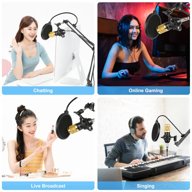 PULUZ Kondensatormikrofon Studio Broadcast Professionelles Gesangsmikrofon