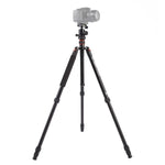 Triopo MT-2504C Verstellbares, tragbares Aluminium-Stativ mit NB-1S Kugelkopf für Canon Nikon Sony DSLR-Kameras, MT-2504C (Schwarz), MT-2504C (Gold)