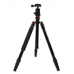 Triopo MT-2504C Verstellbares, tragbares Aluminium-Stativ mit NB-1S Kugelkopf für Canon Nikon Sony DSLR-Kameras, MT-2504C (Schwarz), MT-2504C (Gold)