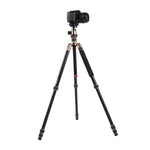 Triopo MT-2504C Verstellbares, tragbares Aluminium-Stativ mit NB-1S Kugelkopf für Canon Nikon Sony DSLR-Kameras, MT-2504C (Schwarz), MT-2504C (Gold)