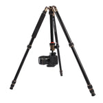 Triopo MT-2504C Verstellbares, tragbares Aluminium-Stativ mit NB-1S Kugelkopf für Canon Nikon Sony DSLR-Kameras, MT-2504C (Schwarz), MT-2504C (Gold)