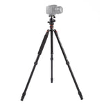 Triopo MT-2504C Verstellbares, tragbares Aluminium-Stativ mit NB-1S Kugelkopf für Canon Nikon Sony DSLR-Kameras, MT-2504C (Schwarz), MT-2504C (Gold)