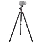 Triopo MT-2804C Verstellbares, tragbares Aluminiumstativ mit NB-2S Kugelkopf für Canon Nikon Sony DSLR-Kameras, MT-2804C (Schwarz), MT-2804C (Gold)