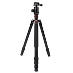 Triopo MT-2804C Verstellbares, tragbares Aluminiumstativ mit NB-2S Kugelkopf für Canon Nikon Sony DSLR-Kameras, MT-2804C (Schwarz), MT-2804C (Gold)