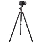 Triopo MT-2804C Verstellbares, tragbares Aluminiumstativ mit NB-2S Kugelkopf für Canon Nikon Sony DSLR-Kameras, MT-2804C (Schwarz), MT-2804C (Gold)