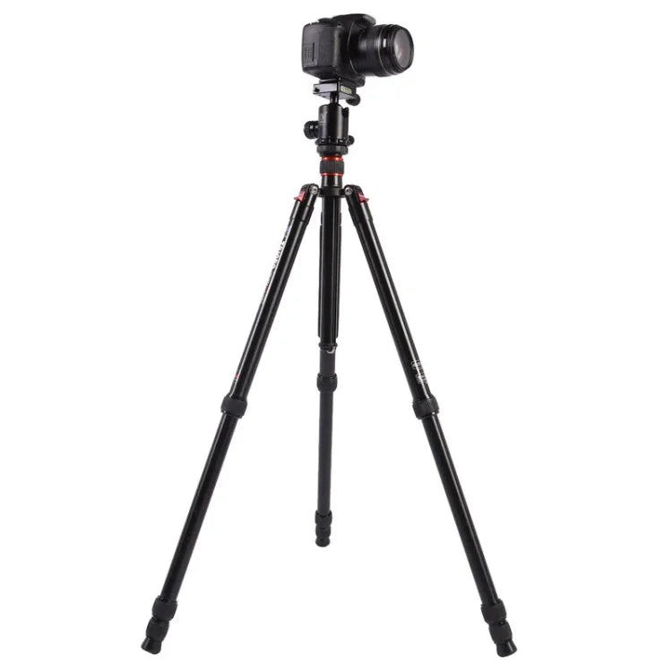 Triopo MT-2804C Verstellbares, tragbares Aluminiumstativ mit NB-2S Kugelkopf für Canon Nikon Sony DSLR-Kameras, MT-2804C (Schwarz), MT-2804C (Gold)