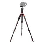 Triopo GT-2505x8.C Verstellbares, tragbares Stativ aus Kohlefaser mit B-1 Aluminium-Kugelkopf für Canon Nikon Sony DSLR-Kameras, GT-2505x8.C (Schwarz), GT-2505x8.C (Gold)