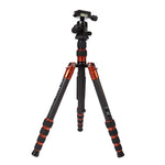 Triopo GT-2505x8.C Verstellbares, tragbares Stativ aus Kohlefaser mit B-1 Aluminium-Kugelkopf für Canon Nikon Sony DSLR-Kameras, GT-2505x8.C (Schwarz), GT-2505x8.C (Gold)