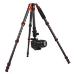 Triopo GT-2505x8.C Verstellbares, tragbares Stativ aus Kohlefaser mit B-1 Aluminium-Kugelkopf für Canon Nikon Sony DSLR-Kameras, GT-2505x8.C (Schwarz), GT-2505x8.C (Gold)