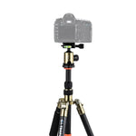 Triopo GT-2505x8.C Verstellbares, tragbares Stativ aus Kohlefaser mit B-1 Aluminium-Kugelkopf für Canon Nikon Sony DSLR-Kameras, GT-2505x8.C (Schwarz), GT-2505x8.C (Gold)