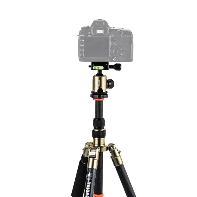 Triopo GT-2505x8.C Verstellbares, tragbares Stativ aus Kohlefaser mit B-1 Aluminium-Kugelkopf für Canon Nikon Sony DSLR-Kameras, GT-2505x8.C (Schwarz), GT-2505x8.C (Gold)