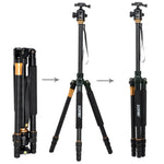 ZOMEI Z688 Tragbares professionelles Reisestativ aus Magnesiumlegierung mit Kugelkopf für Digitalkameras, Z688
