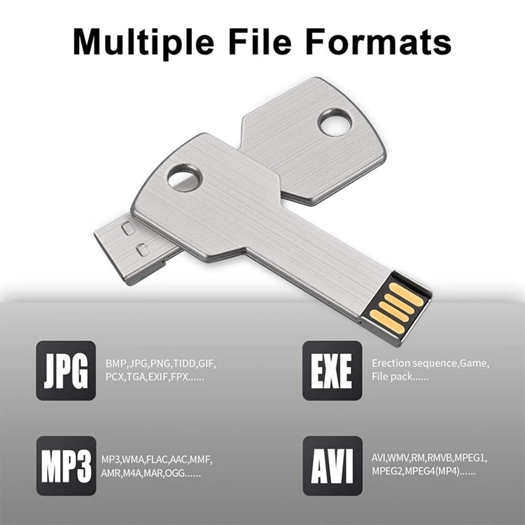 2GB Schlüssel USB-Flash-Laufwerk, 1GB, 2GB, 4GB, 8GB