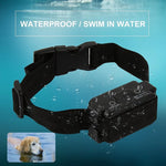 W-227 Elektrisches Zaunsystem mit Schockhalsband für Haustiere (Hunde, Katzen), W-227