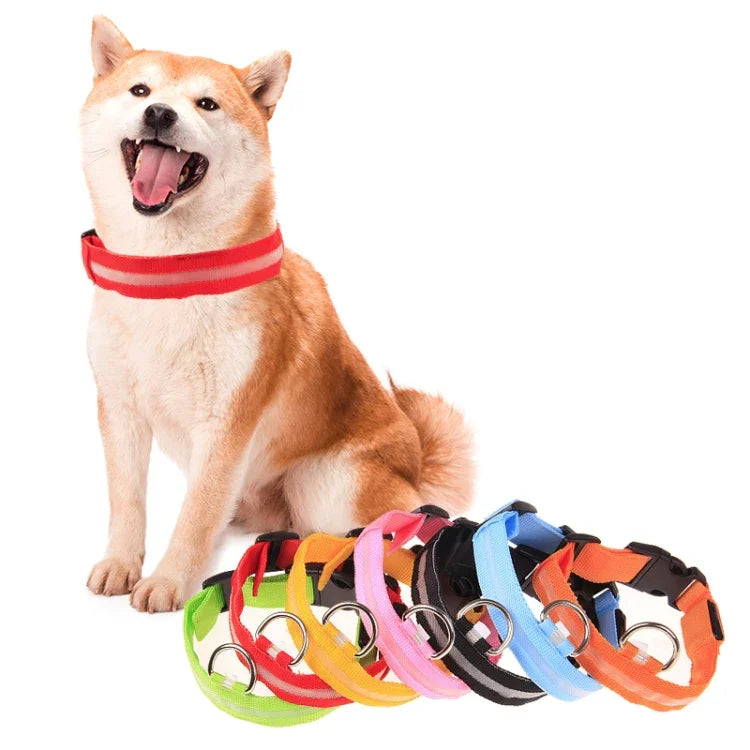 Verstellbares LED-Blinkhalsband für Hunde mit 3 Leuchtmodi, Größen: S, S, M, L, XL