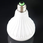 Bluetooth, Support WiFi Phone Control, Adjustable Light, with Remote Control