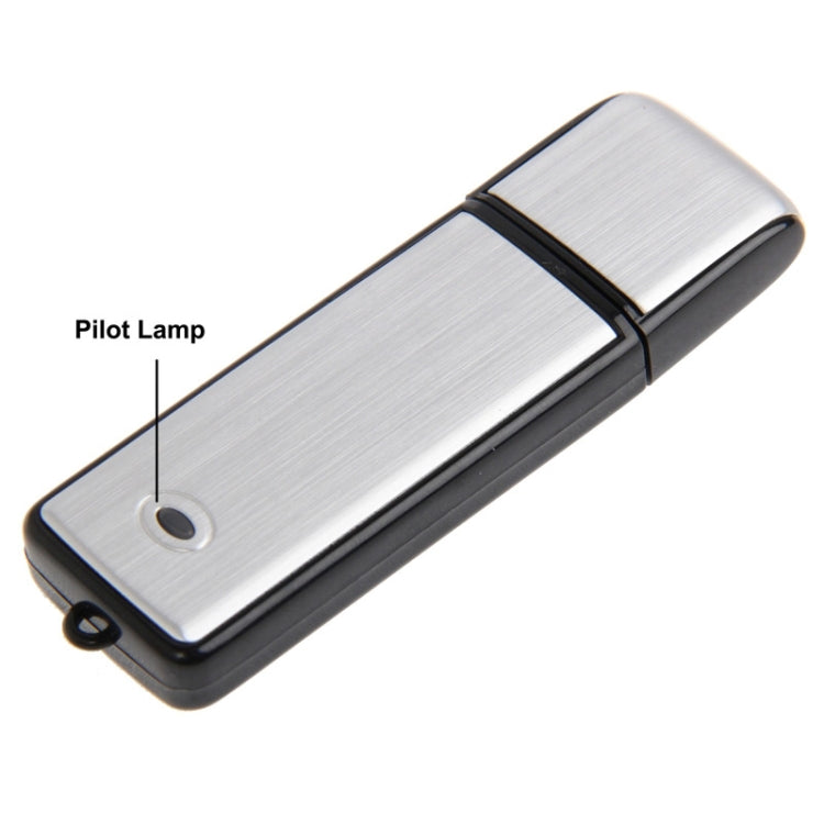 USB-Diktiergerät + 8GB USB-Flash-Disk, 8GB